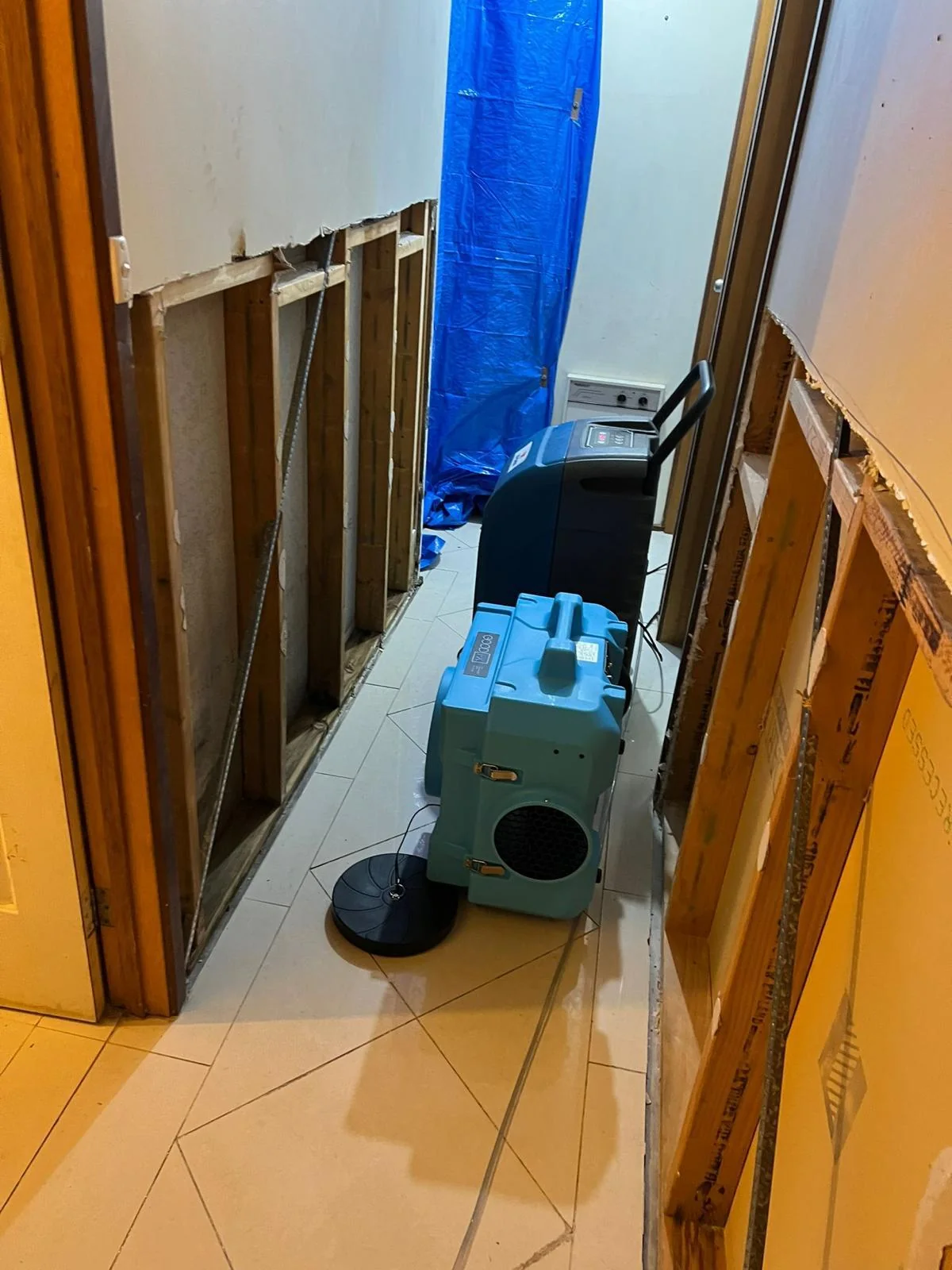 Drying equipment in a water-affected property