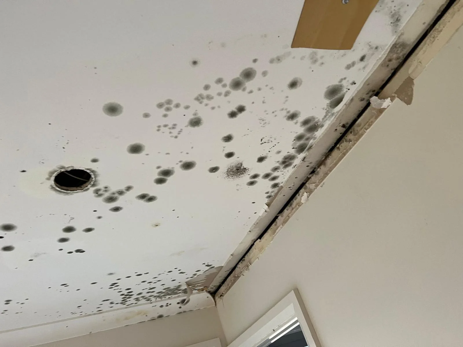 Visible water damage and staining across an interior ceiling